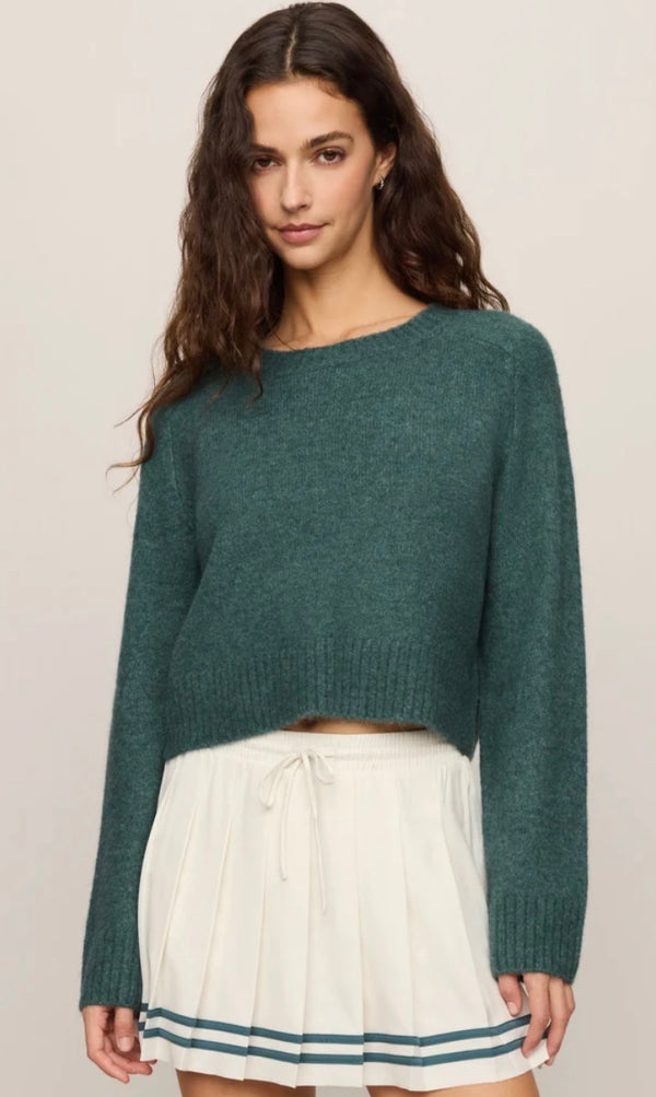 Top - Z Supply Stand in Sweater