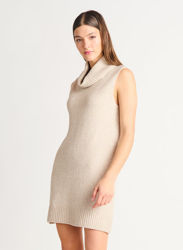 Dress - Dex Sleeveless Turtleneck Dress